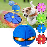 Regadera Para Mascota + Pelota Voladora Para Mascotas