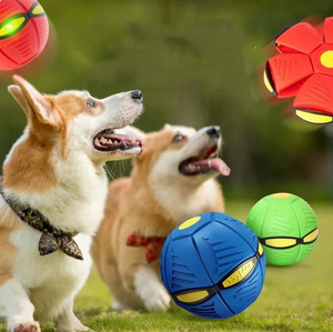 Regadera Para Mascota + Pelota Voladora Para Mascotas